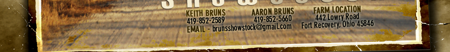 Bruns Show Stock